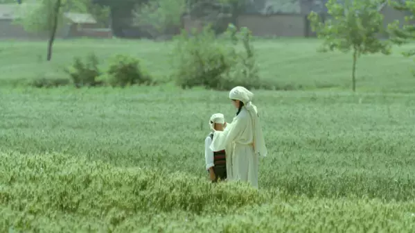 「第26回東京フィルメックス」オープニングはヴェネチア女優賞『太陽は我らの上に』