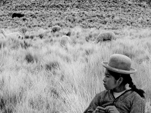 アンデス地域の少女の悲劇と伝統的差別描く『少女はアンデスの星を見た』12月20日公開