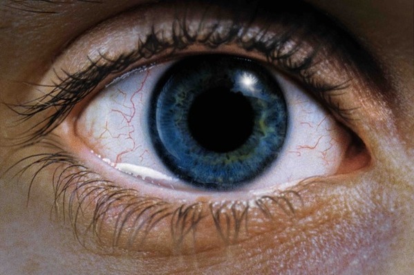 「心が砕ける」「落ち込む映画」第1位、トラウマ級の傑作『レクイエム・フォー・ドリーム』4Kリマスター版公開