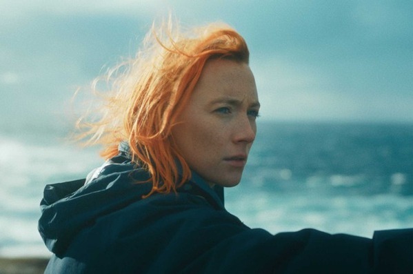 「彼女の姿が、深く胸を打つ」シアーシャ・ローナン主演　『おくびょう鳥が歌うほうへ』予告