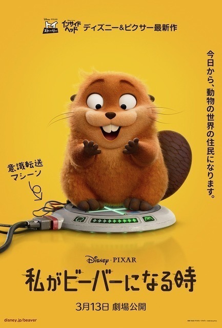 ディズニー＆ピクサー『私がビーバーになる時』日本公開は3月13日！　動物界の大騒動に巻き込まれる最新US版予告解禁