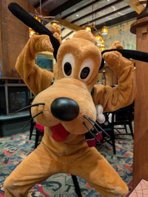 【海外ディズニー】ミッキーたちがパジャマ姿で登場！カリフォルニア ディズニーランド・リゾート、人気レストランを体験