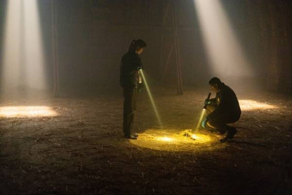 謎の暗号文に隠された真実とは…『ロングレッグス』場面写真