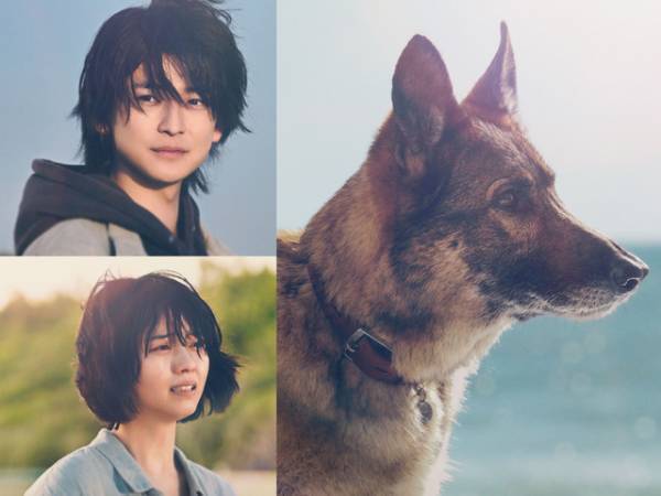 高橋文哉「映画の世界観とリンク」SEKAI NO OWARIが主題歌担当『少年と犬』楽曲入り予告も