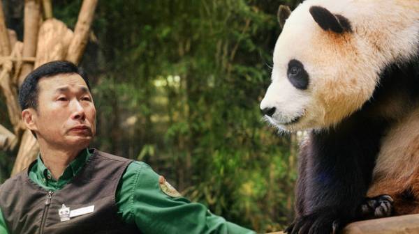 韓国で生まれたパンダと飼育員たちの感動の記録『私の親愛なるフーバオ』4月公開