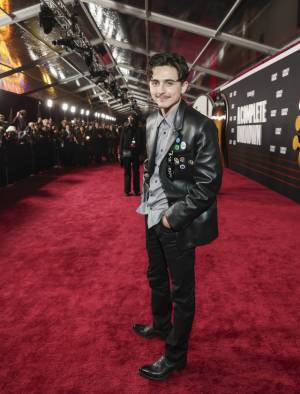 ティモシー・シャラメ来日決定！『名もなき者』パフォーマンス裏に迫る特別映像公開