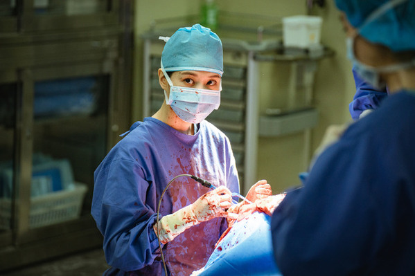 「ハイパーナイフ 闇の天才外科医」世界で大ヒット　遼河はるひの特別出演も話題