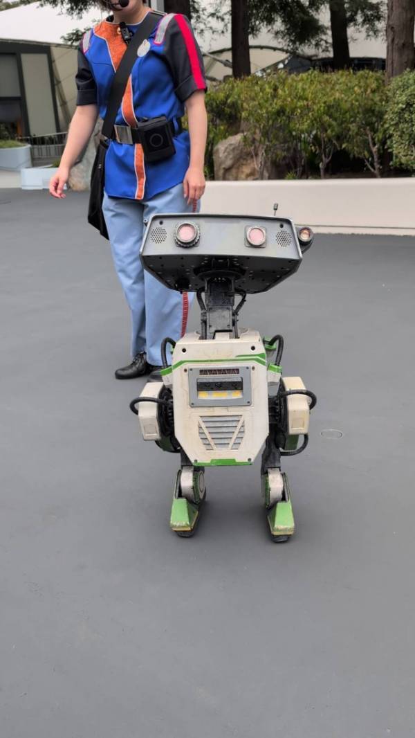 【ディズニー】2足歩行ロボットが新登場！BDXドロイドのアトモスフィアプログラム