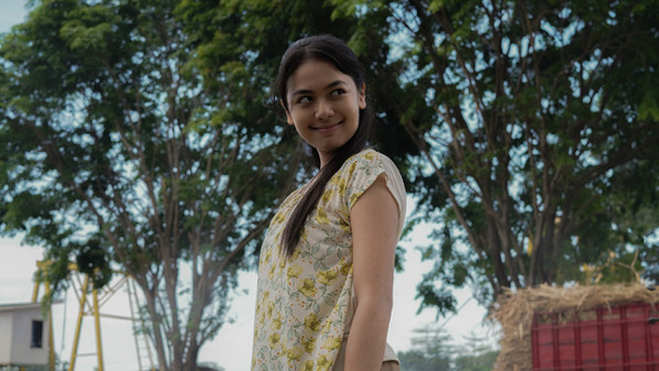 大量の束のサトウキビが迫りくる…『サトウキビは知っている』本編映像＆アザービジュアル