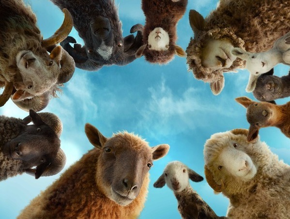 ヒュー・ジャックマン主演の新感覚ミステリー『ひつじ探偵団』もふもふカット公開！