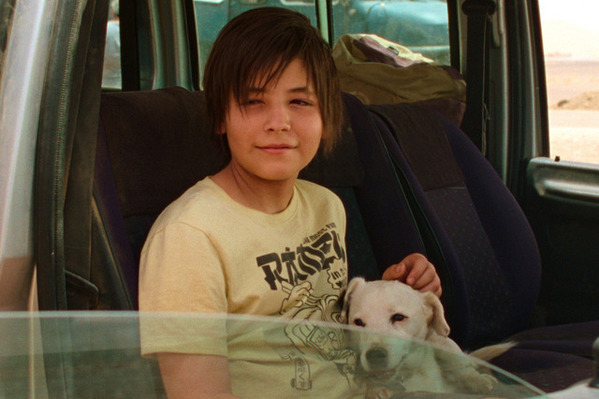 カンヌ・パルムドック受賞の“演技派犬”が物語を動かす！『シラート』本編映像