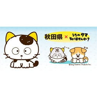 秋田県の「ミール君」や秋田犬「ゆめちゃん」とリアルタマさがしゲーム開催