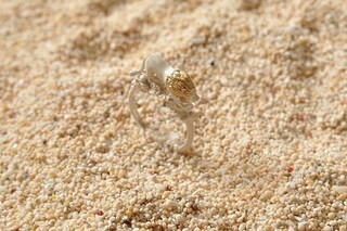 ゆらゆらとシッポが揺れるライオンの指輪が美しい