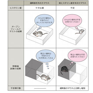 東北大、不安の改善には鰹や鶏肉に豊富なヒスチジンの摂取が有効と発表