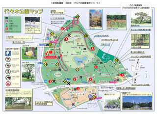 東京都、代々木公園の&quot;デング蚊&quot;確認地点をゼロと発表 - デング熱禍終息か