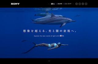 「α7S」でISO409600撮影した海中の幻想的な景色を公開 - ソニー