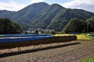 “都会への憧れ”は健在？　「都会」と「田舎」、住みたい方はどっち？