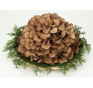 総額約250万円の賞品が当たる「雪国まいたけを食べよう」キャンペーン