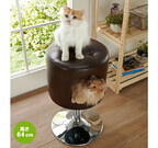 猫大喜び! 椅子の形をしたキャットタワーがオシャレ!