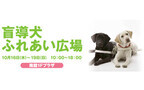 東京都世田谷区で盲導犬ふれあいイベントが開催