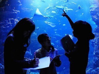 京都府・京都水族館でリアル謎解きゲーム「古都京都に隠された秘密」開催