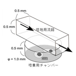 アークレイと京大、iPS細胞を1個から培養できる超小型培養装置を開発