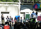 東京都・上野動物園で、パンダのイベントが開催