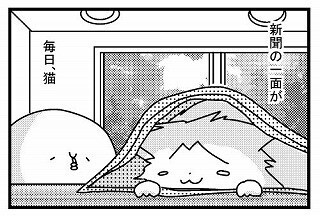 なぜ猫は読書をしていると本の上に乗ってくるのか