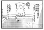 なぜ猫は、飼い主の入浴中しっぽを湯船にいれるのか