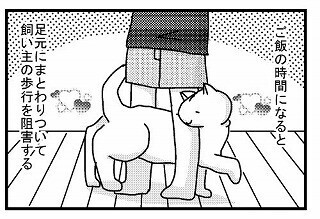 猫が足にスリスリしてきた! これは本当に甘えてるのか?