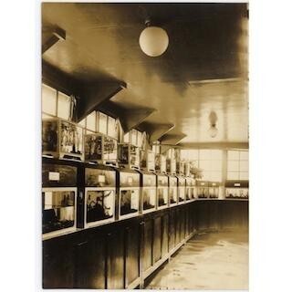 東京都・井の頭自然文化園が、80周年記念企画展を開催