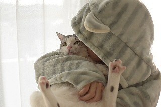 猫になりきれる"にゃんこウェア"をアラサー女が着てみた