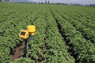 NEC、ルーマニアのじゃがいも農場で農業ICTの実証実験