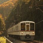 西武鉄道、「埼玉県民の日」11/14に限り有効の記念1日フリー乗車券を発売