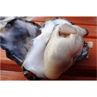 幻の"緑色のカキ"も! 広島県産のカキを振舞うオイスターバー限定オープン