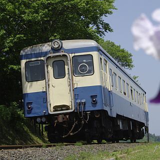 茨城県・ひたちなか海浜鉄道の気動車キハ222引退! 12/6が最後の一般運用に