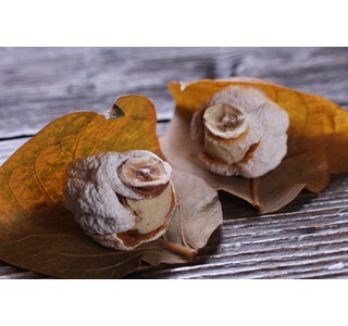 滋賀県大津市で和菓子の祭典「秋の菓子まつり」 - 和菓子作り体験も