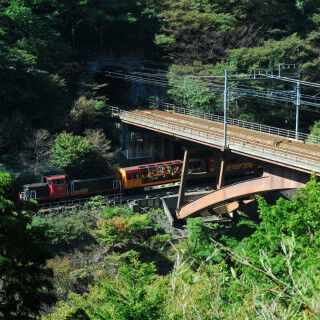 関西オモシロ鉄道の旅 (28) 京都の紅葉シーズン到来! 嵯峨野観光鉄道のトロッコ列車