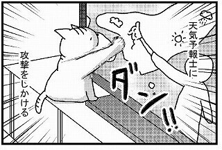 なぜ猫は天気予報士にじゃれるのか