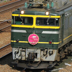 JR西日本「さよならトワイライトエクスプレス機関車公開」、475系国鉄色も