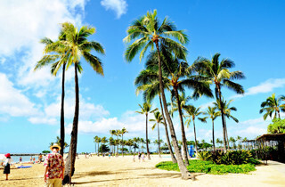 先輩花嫁に聞く! 満足度の高い新婚旅行の行き先ランキング