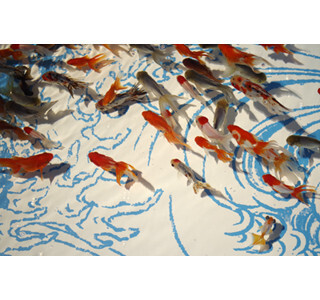 東京都・すみだ水族館で金魚のイベント「うふふ、金魚」が開催!