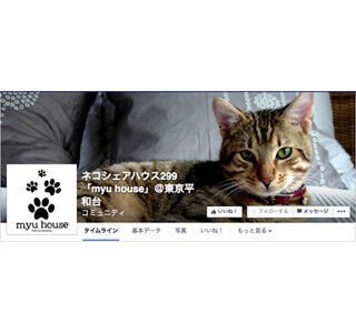 東京都・練馬にオープン予定! 猫と暮らせる「猫シェアハウス」