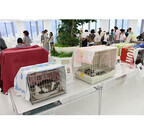 兵庫県神戸市で、猫の里親譲渡会が開催 - 猫の画像も公開!