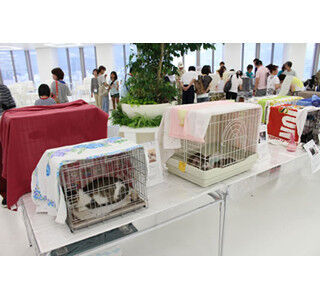 兵庫県神戸市で、猫の里親譲渡会が開催 - 猫の画像も公開!
