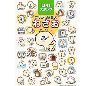 ブサかわ秋田犬・わさおがLINEスタンプになった!