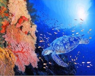 東京都目黒区・伊東昭義美術館で、開館一周年記念展「龍宮の海」展を開始