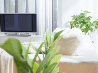 初めての一人暮らし　これだけは譲れなかった条件って？