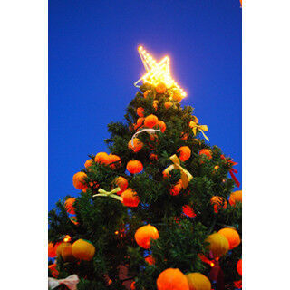 新宿にミカン約500個で飾ったクリスマスツリー! ミカンジュースの蛇口も