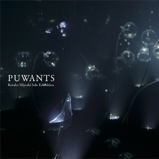 植物の空想の姿や振舞の表現を試みた「PUWANTS」-三好賢聖展が28日より開催